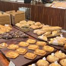 비브레이브천안 이미지