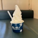 코이비토