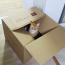 에담하우스 네이버블로그