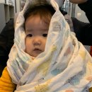 평광오락실 이미지