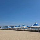 그늘막53 이미지