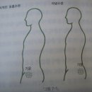 호흡수련의 기초 (3) - 이단호흡과 의념(명상)수련 이미지