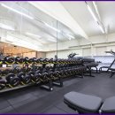 쏘마휘트니스 이미지