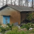 강정동-11 이미지