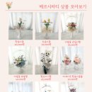 스튜디오 모 이미지