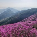 창원 천주(天柱)에서 천자(天子)까지 이미지