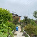 홍예민박 이미지