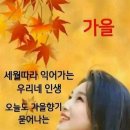 빛나는하루 이미지