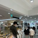 닥스갤러리아대전