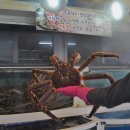 대영유통 이미지
