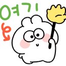 와일드복싱짐 안양관 이미지