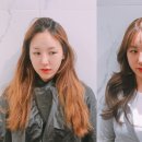 컷&컬러