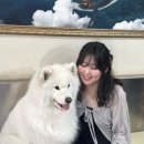 겨울이 머무는 집 이미지