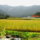 산 아래 이미지