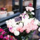 장고행정사 이미지