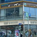 서부산동물메디컬센터 이미지