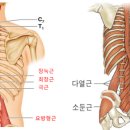 든든한척추 네이버블로그