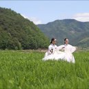 섬마을 이미지