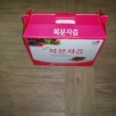 고창산속골복분자영농조합 이미지