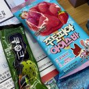 연출 | [뮤지컬 | 라이프오브파이] 박정민 파이 관람기, 연기·무대 연출·몰입감 미쳤던 리얼 후기