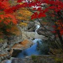 지리산 단풍비 이미지