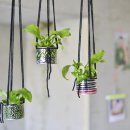 나의 작은 정원-홈 가드닝 이미지