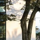 호근머들 이미지