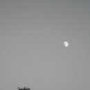 잠월미술관 이미지