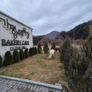 가평 양떼목장 | 서울 근교 가평 가볼만한 곳 | 가평 양떼 목장 방문 후기