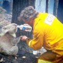 가정축사 이미지