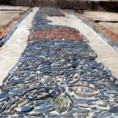 조선기와 이미지