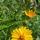 보광사 신중탱화 이미지