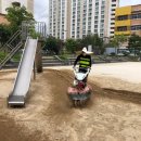 3524 | ::모래소독::키제코::/대전원신흥초등학교 모래소독 : 3524번째 후기