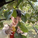 김해유치원 이미지