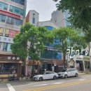 수원고양이전문분양 가토캣슬 광교용인점 이미지