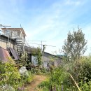 ㈜우드사이로 이미지