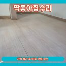 안산 선부동 가벽 철거 후 바닥 마루 부분 보수 시공 후기