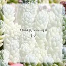 홍스헤어 이미지