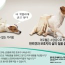 건강이열리는약국 이미지