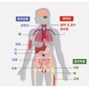 약선당약국 이미지