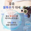 쓰리랑(3LANG) | 30대 초중반 여자 물톡수 다이어트 리얼후기