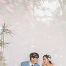보니타스튜디오 이미지