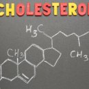 ■ 좋은 콜레스테롤(HDL) 높이는 방법. 이미지