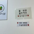 대전 둔산동 분식 맛집 두야리꼬마김밥