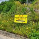 마리 태양광발전소 이미지