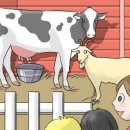 구문농장 이미지