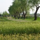 모란생태공원 이미지