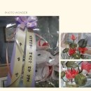 보덕주