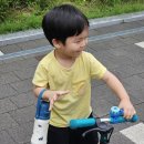 고래 - 남동구 | 유아텀블러 유치원 물통 그로미미 아기고래 스테인리스 텀블러 후기