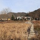 🏕️ 여름 휴가의 절정! 강촌포도펜션오토캠핑장에서 즐기는 시원한 계곡 캠핑